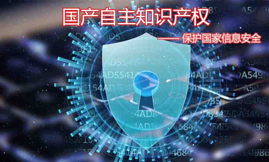 知识产权编号_产权编号位置图片_产权编号怎么查询