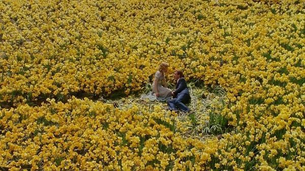 马家花园路_花园静马_马家花园