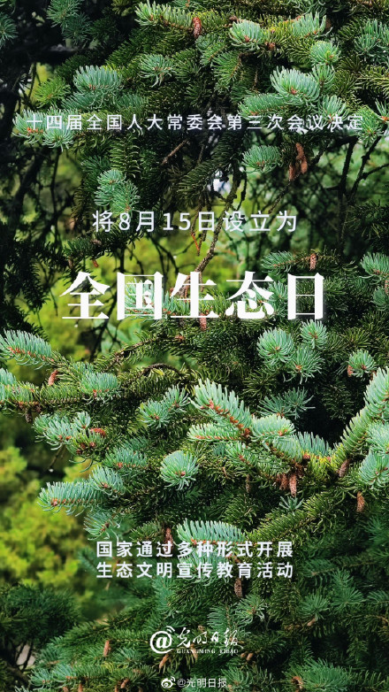 节日的月日_节日在大月的是_8月8日是什么节日?