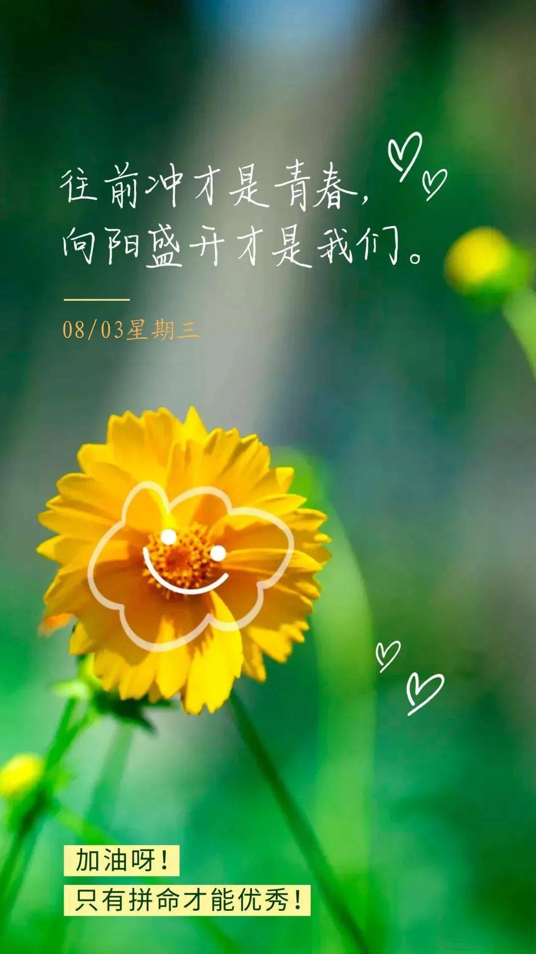 8月8日是什么节日?_节日的月日_节日在大月的是