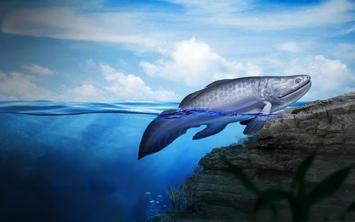 人形海象_人形海象最后为什么不变回人_人形海象豆瓣
