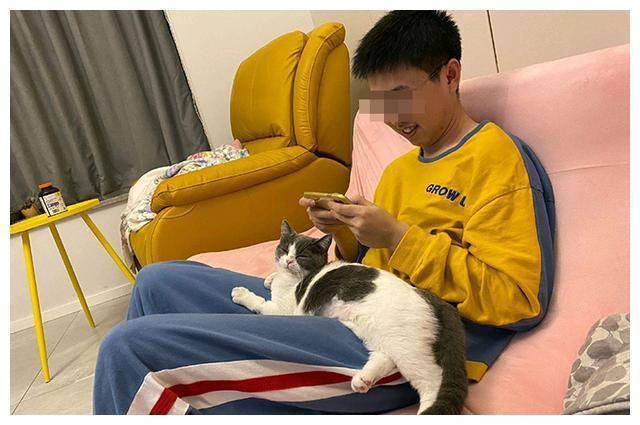 手机破解游戏软件排行榜第一名_破手机游戏_手机破解游戏软件