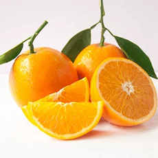 九块邮_邮政编码_邮箱