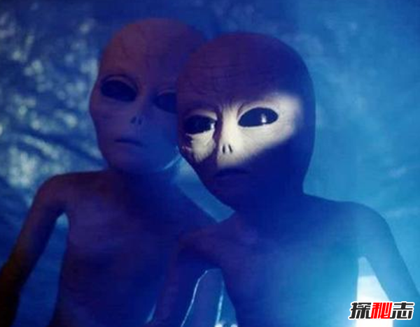 波普艺术家_吉波普不笑动漫_不吉波普