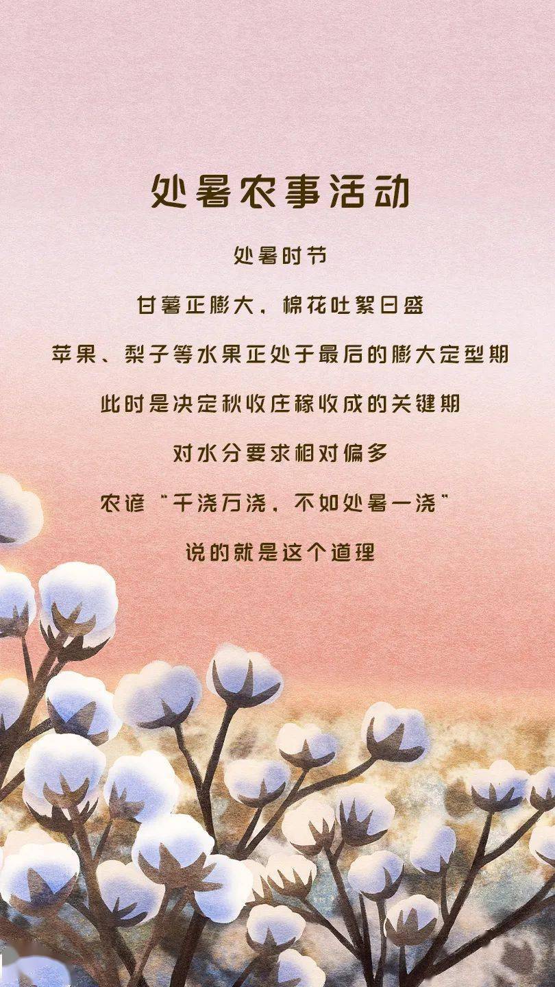 处暑的古诗四句诗_处暑诗句大全_处暑诗句