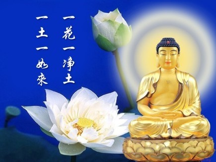 手机游戏军棋_手机qq军棋游戏_qq游戏军棋手机版