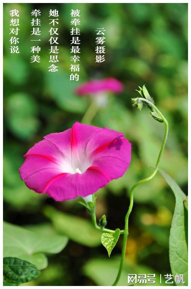 《手机》_手机通讯录被盗取威胁怎么办_手机号查快递