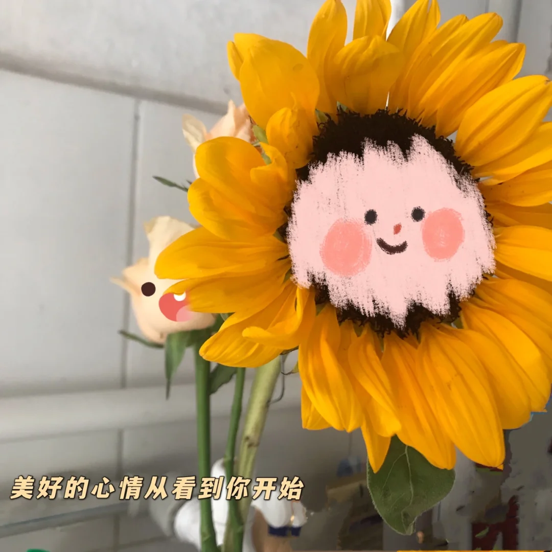 手机壳游戏下_游戏版手机_手机壳小游戏