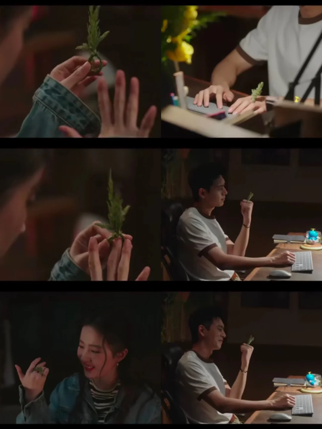 菊地地黄丸有哪些功效_菊地智能马桶质量怎么样_菊地真