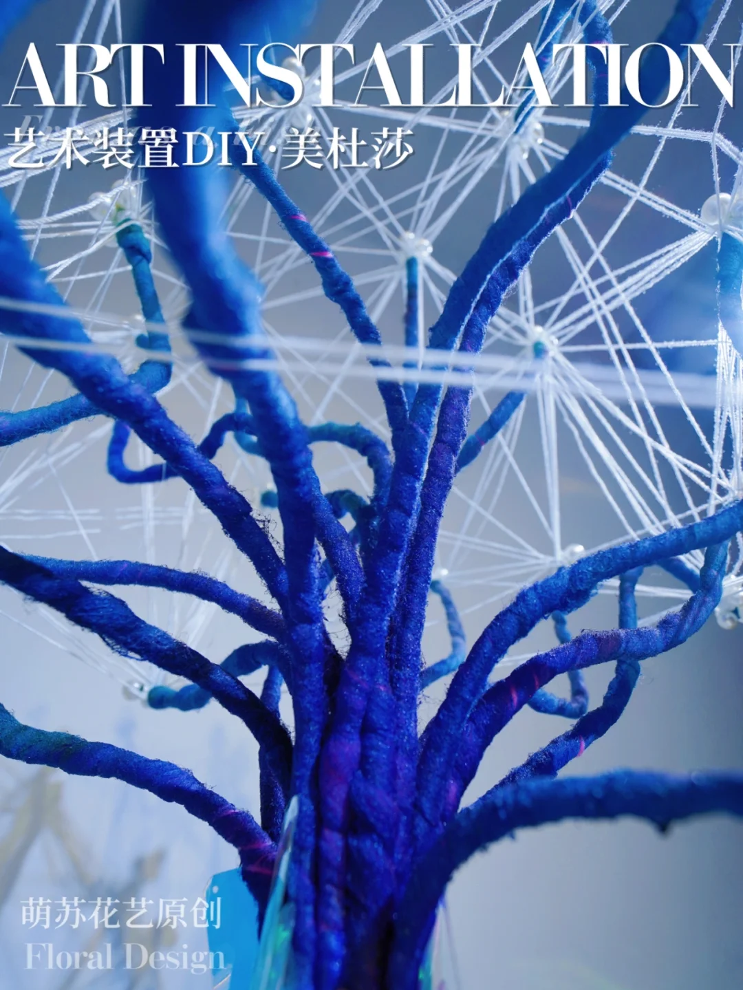 单环刺螠的生物学特性_单环刺螠_刺环怎么用