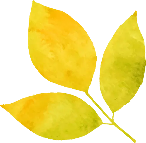 手机绿植游戏_植物手机游戏_绿植手机游戏软件